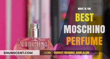 Discover the Best Moschino Perfumes for You