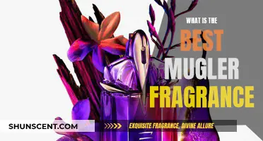 The Ultimate Mugler Fragrance Guide for You