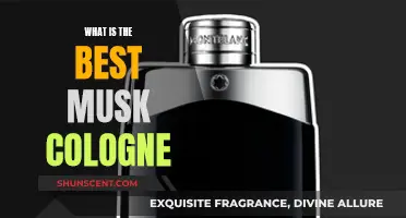 The Ultimate Musk: Best Cologne Picks for Men