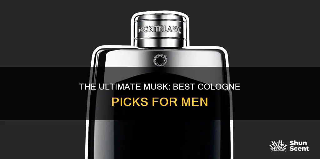 what is the best musk cologne