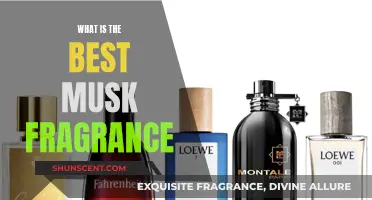 The Ultimate Musk Fragrance Guide for Men and Women