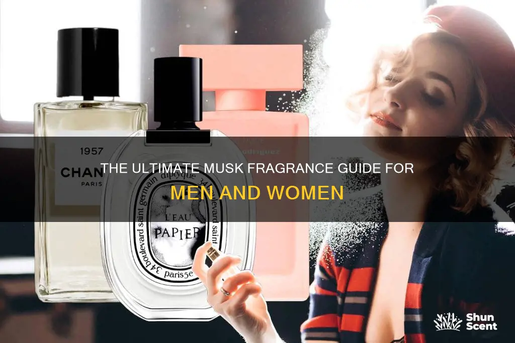 what is the best musk fragrance