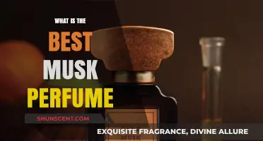 Discover the Best Musk Perfumes for You