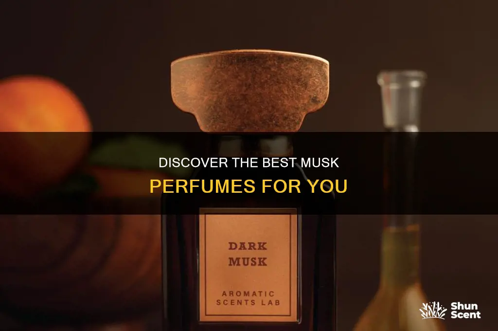 what is the best musk perfume