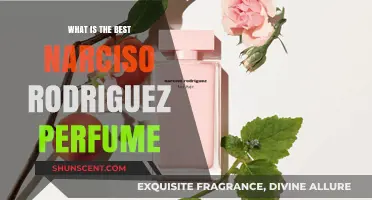 Narciso Rodriguez Perfumes: Which Scents Are Worth Your Money?