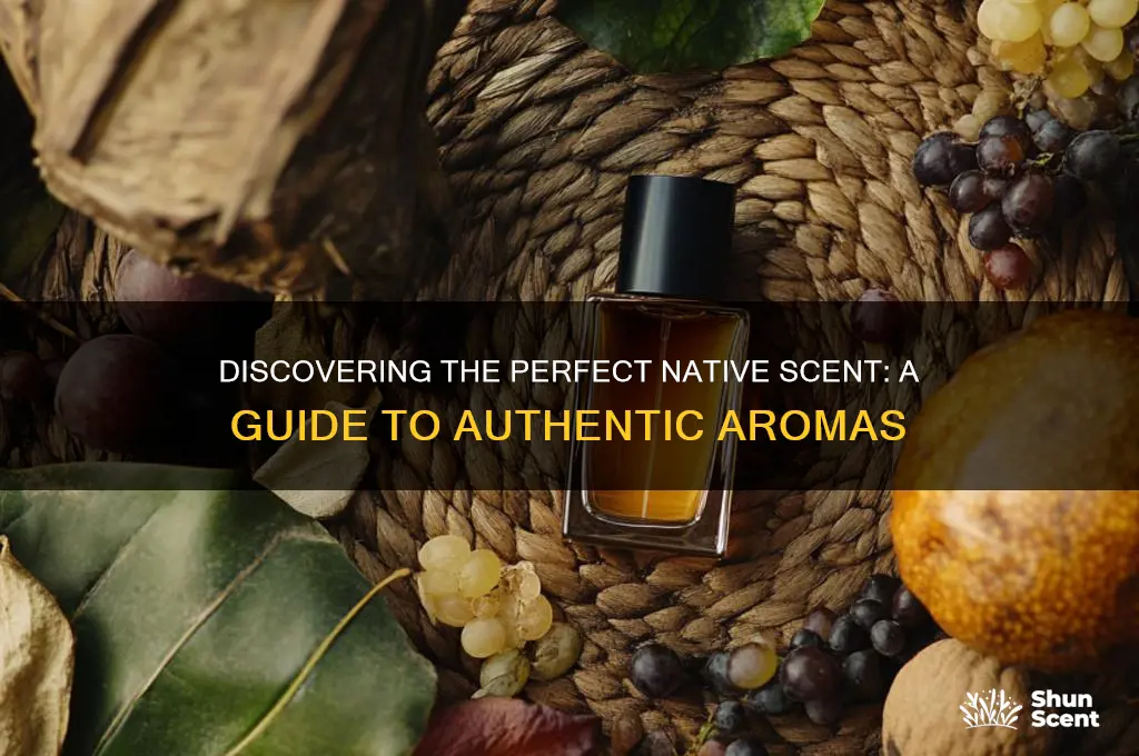 what is the best native scent