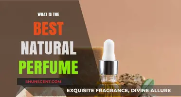 Natural Scents: Discover the Best Perfumes