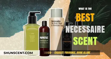 Discover the Best Necessaire Scent for Your Personal Care Routine