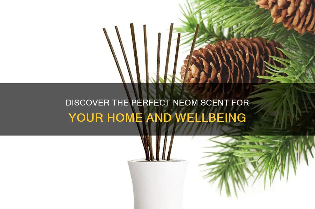 what is the best neom scent