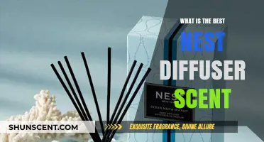 Discover the Perfect Nest Diffuser Scent for Your Home