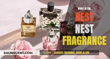 Nest Fragrances: Finding Your Perfect Scent
