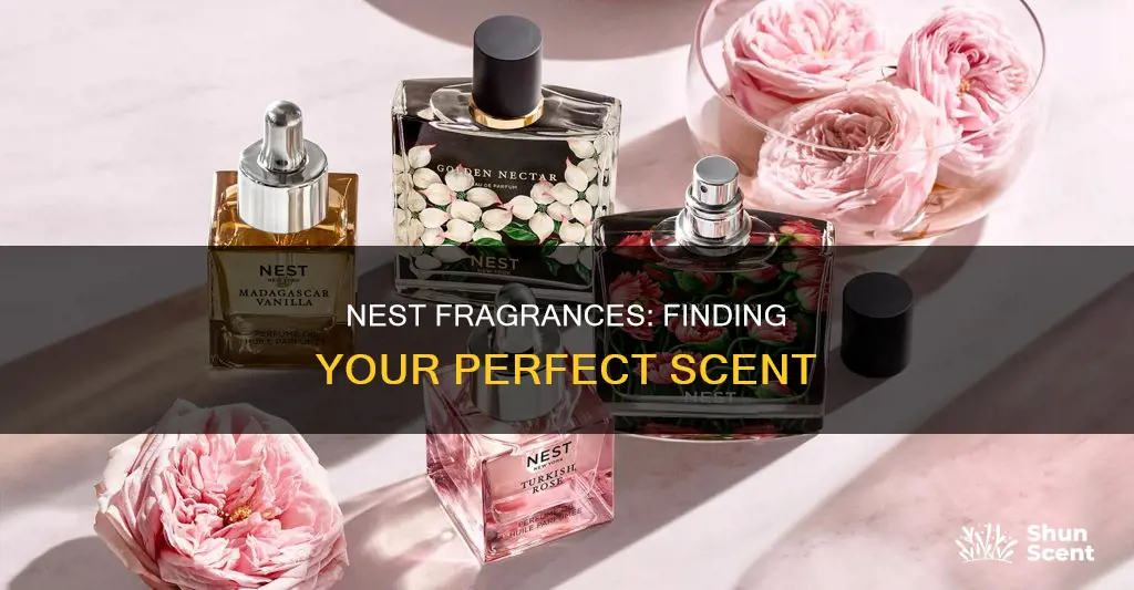 what is the best nest fragrance