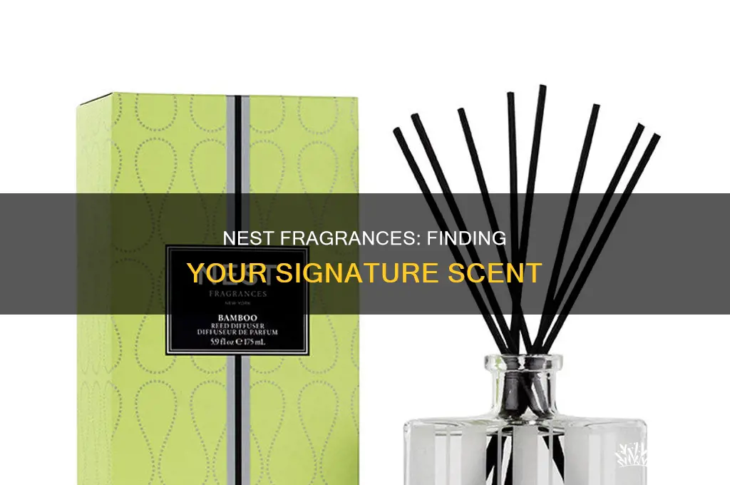 what is the best nest perfume