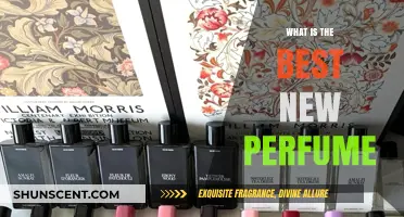 New Signature Scents: Best Perfumes for 2023