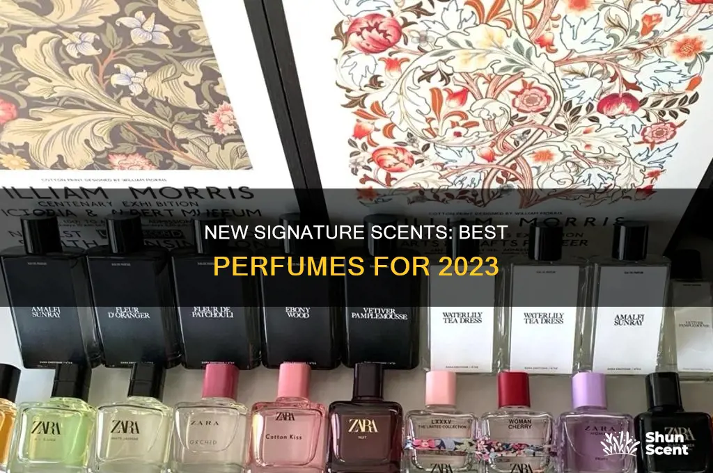 what is the best new perfume