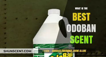 Discover the Best Odoban Scent for Your Home: A Guide