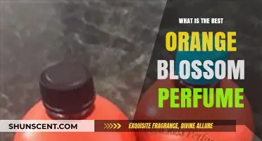 The Best Orange Blossom Fragrances for Women