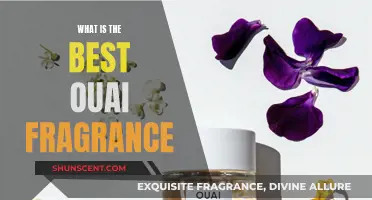 Ouai Fragrance: Finding Your Signature Scent