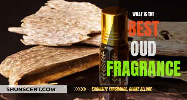 Oud Fragrance: Discovering the Best Oud Scents