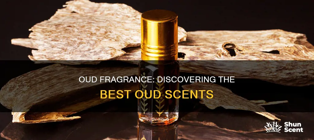 what is the best oud fragrance