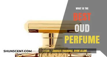 Oud Perfume: Discover the Best Scents