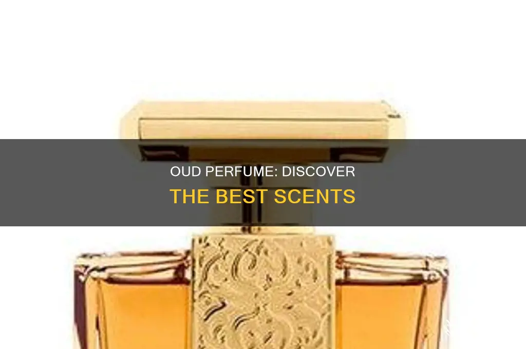 what is the best oud perfume