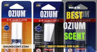 Discover the Top Ozium Scent for Freshening Your Space