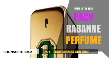 The Best Paco Rabanne Scents: A Fragrance Guide
