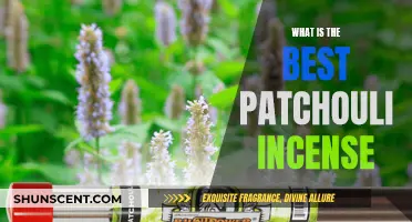 Best Patchouli Incense: A Guide to the Finest Scents