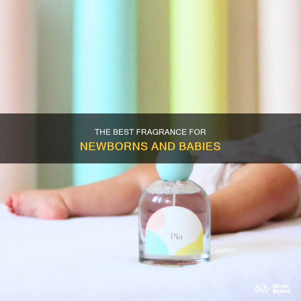 what is the best perfum smell for newborn
