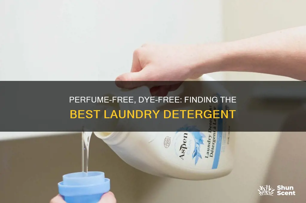 what is the best perfume and dye free laundry detergent