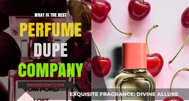 Perfume Dupes: Who Makes the Best Scents?