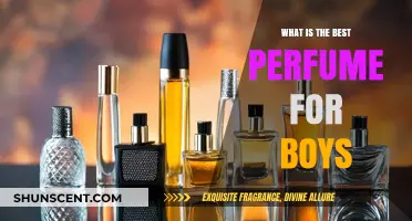 Best Perfumes for Boys: A Guide to Scents