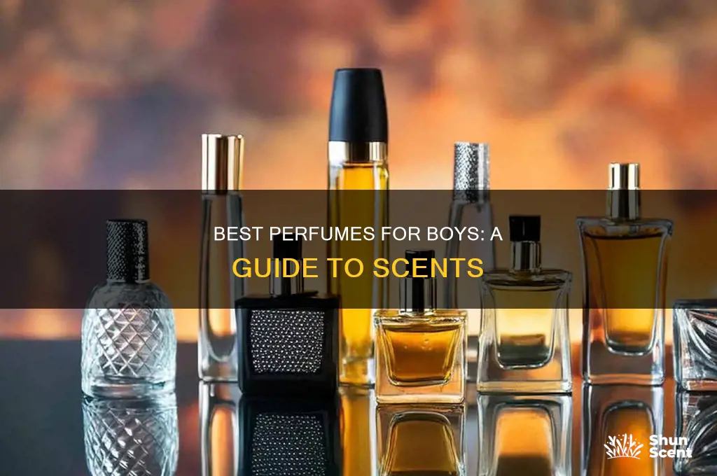 what is the best perfume for boys