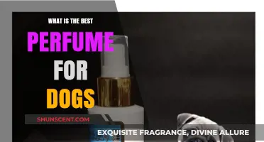 The Perfect Scent: Choosing the Best Perfume for Your Dog
