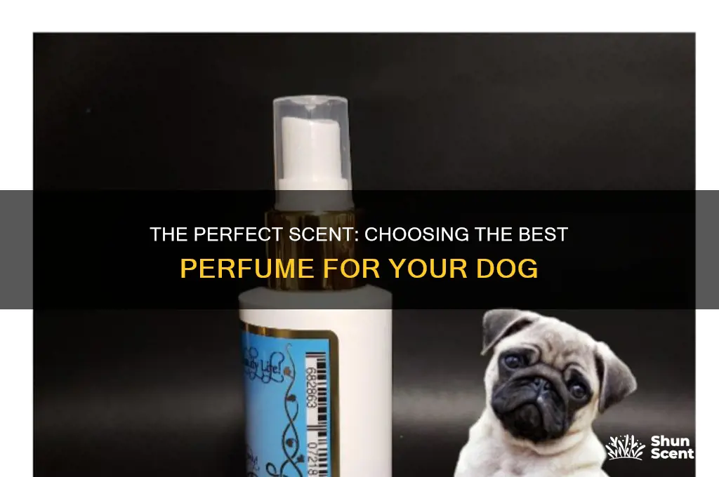 what is the best perfume for dogs