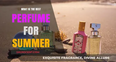 Summer Scents: Choosing the Perfect Summer Perfume