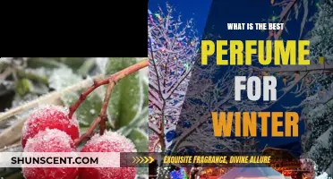 Winter Scents: Best Perfumes for the Cold Season