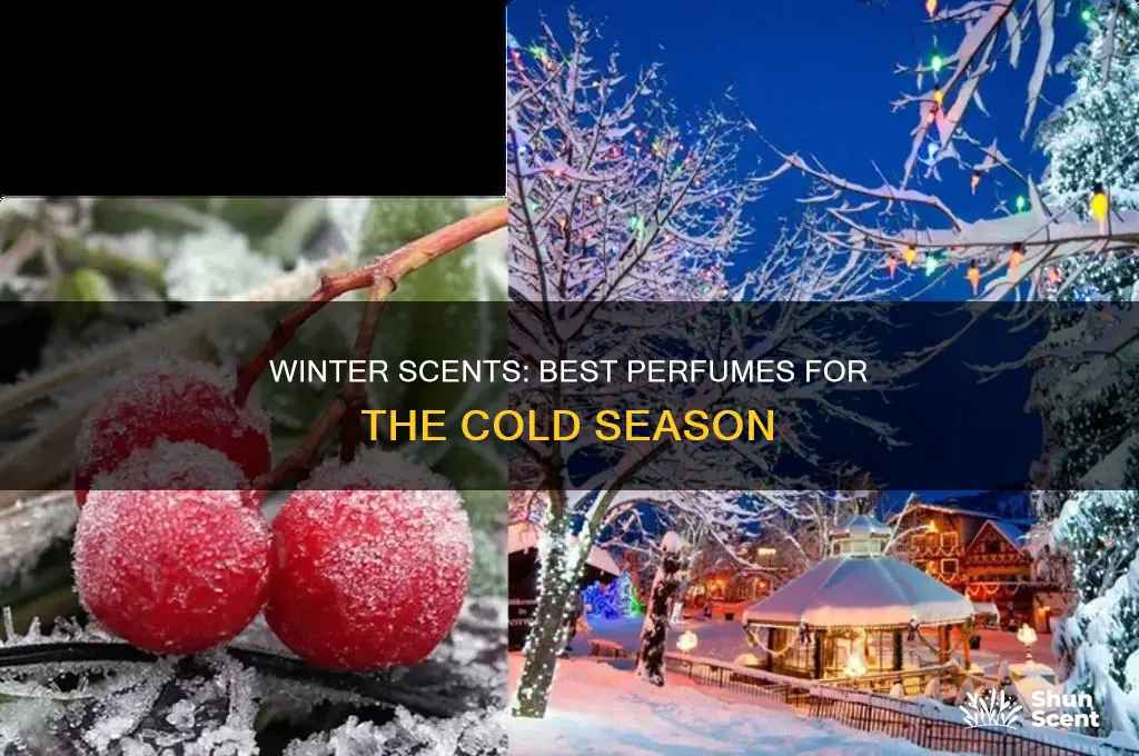what is the best perfume for winter