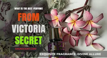 Victoria Secret's Best-Selling Scents: Our Top Picks