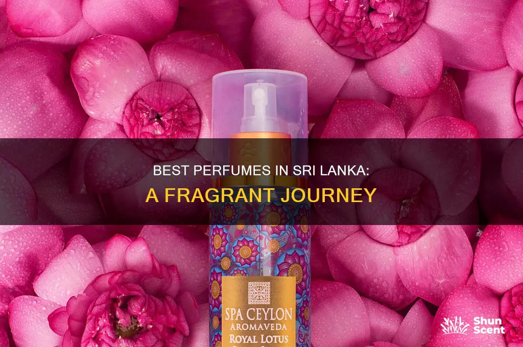 what is the best perfume in sri lanka