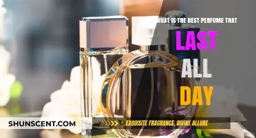 The Ultimate Long-Lasting Fragrance: All-Day Perfumes