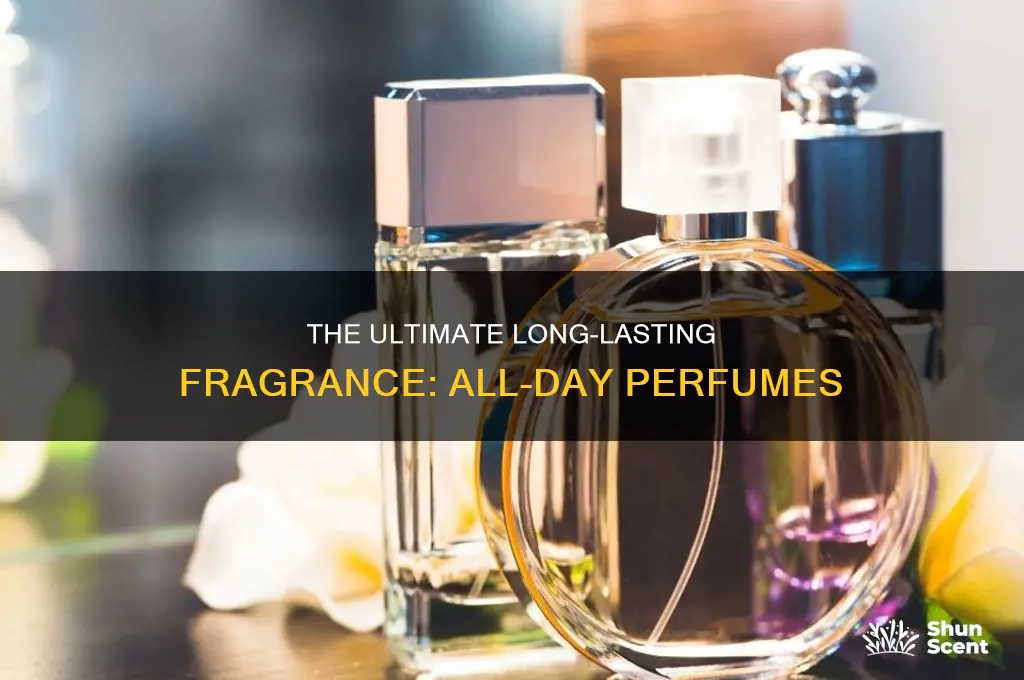 what is the best perfume that last all day