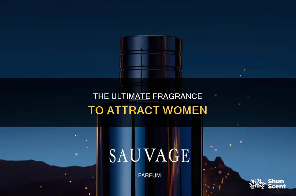 what is the best perfume to attract a woman