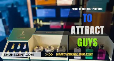 Scents That Attract Men: Choose Your Perfume Wisely