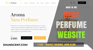 Perfume Shopping: Best Online Destinations