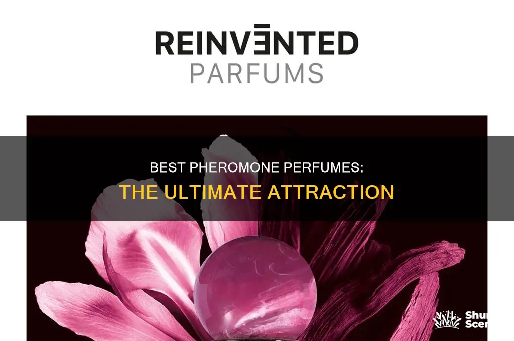 what is the best pheromone perfume on the market