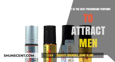 Top Pheromone Perfumes: Attracting Men with Scents