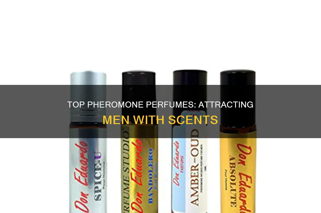 what is the best pheromone perfume to attract men