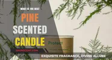 Discover the Perfect Pine Scented Candle for a Cozy Ambiance